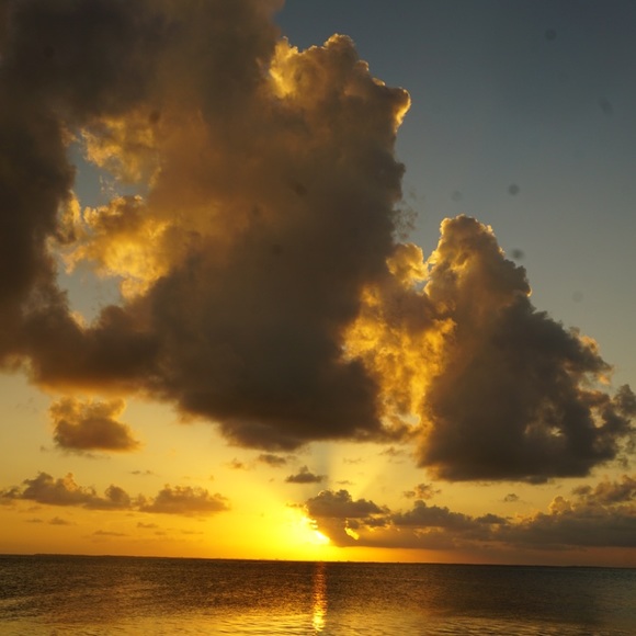 Meet your Posher, Maya - Picture 1 of 1